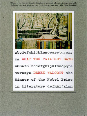 cover image of What the Twilight Says